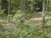 hole5