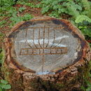 dss