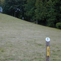 ds